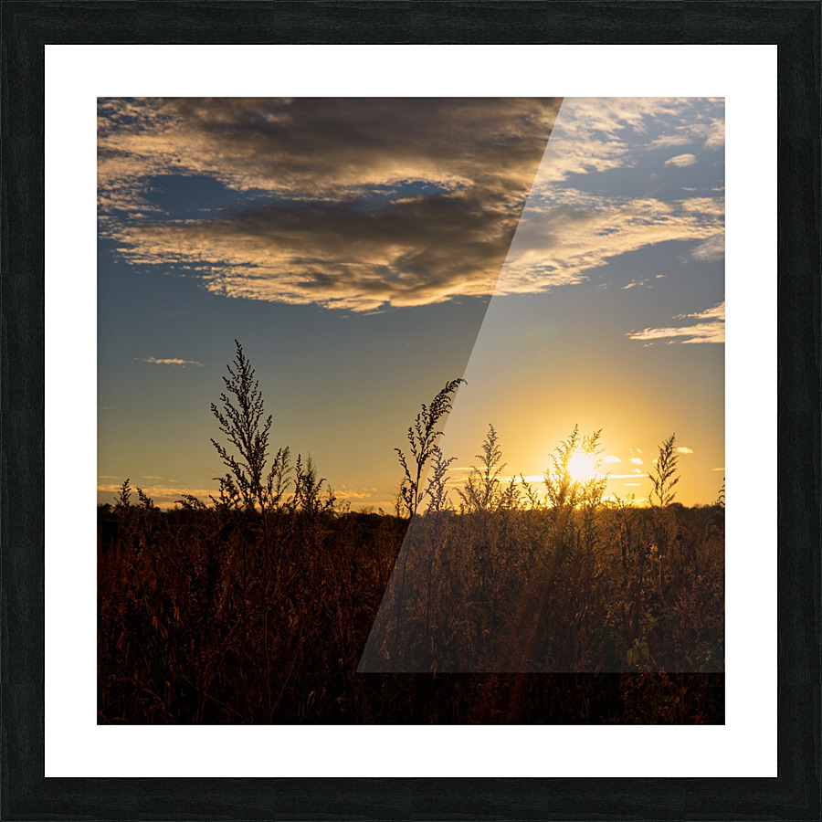 Sunset on the fields Picture Frame print