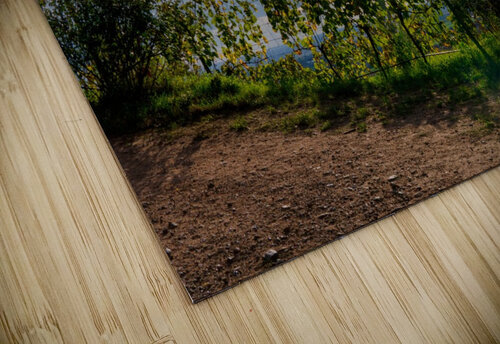 Vineyard Schriesheim Florian Emmert puzzle