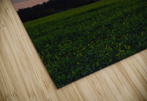 Sunset on the fields Florian Emmert puzzle