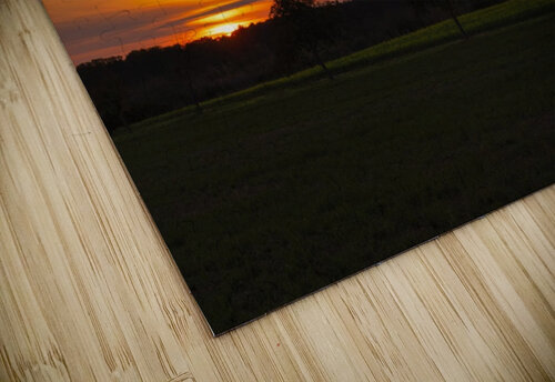 Sunset on the fields Florian Emmert puzzle
