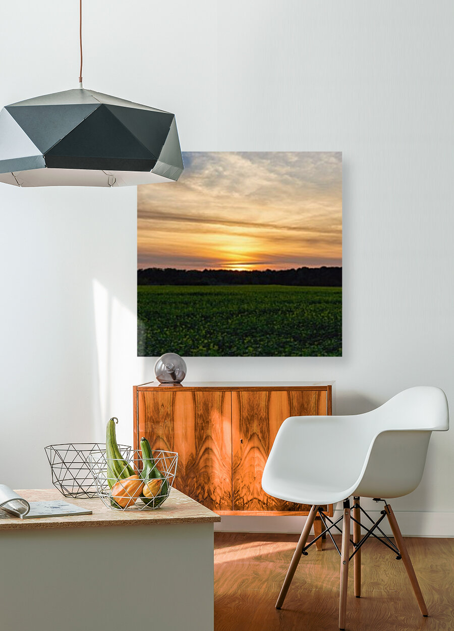 Sunset on the fields Reproduction