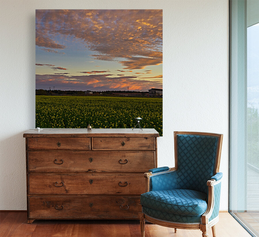 Sunset on the fields Reproduction
