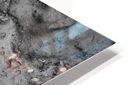 Pawprint HD Metal print