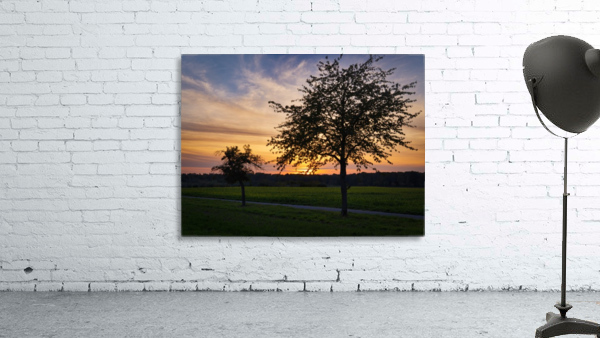 Sunset on the fields Wall Preview
