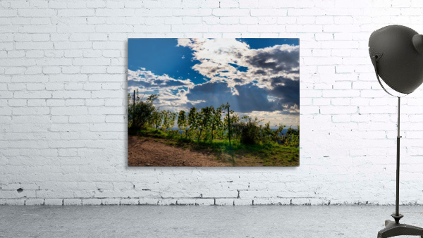 Vineyard Schriesheim Wall Preview