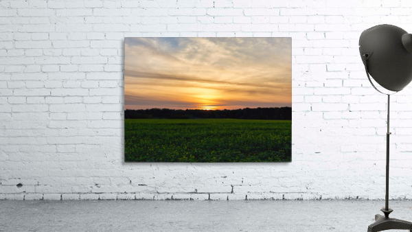 Sunset on the fields Wall Preview