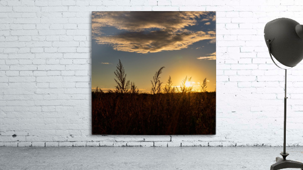 Sunset on the fields Wall Preview