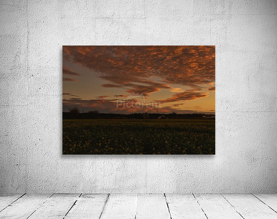 Sunset on the fields Wall Preview