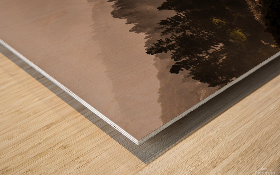 BigSur payne 4254 Wood print