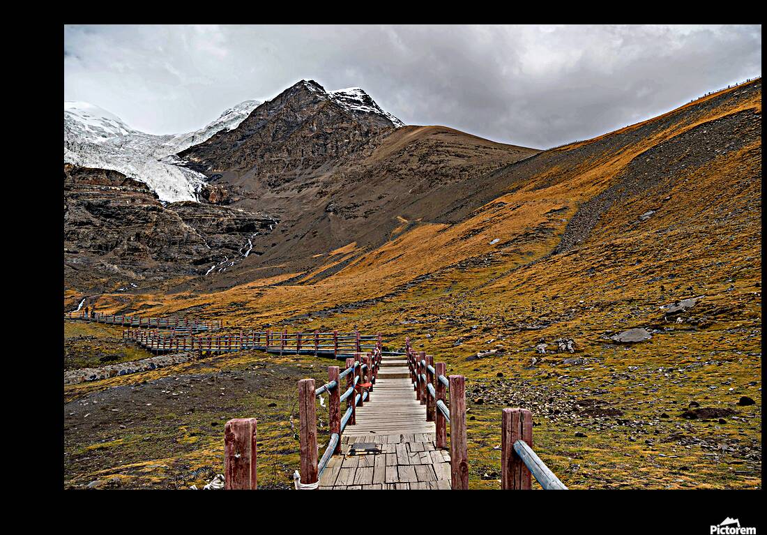 Glacier  Reproduction