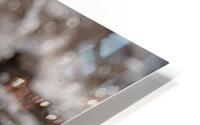 The tern HD Metal print