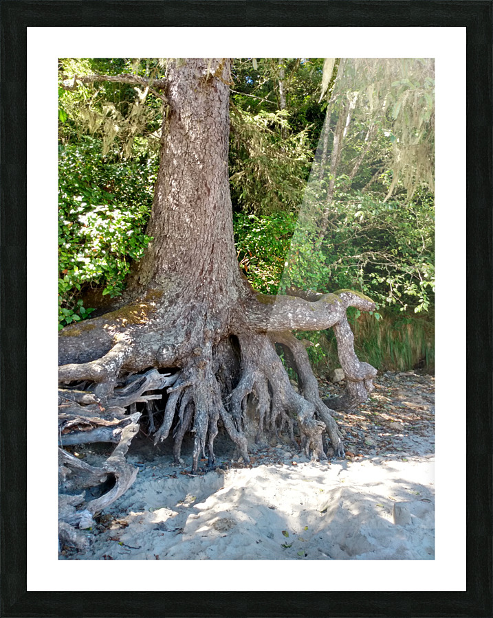 LotsofLimbs Picture Frame print