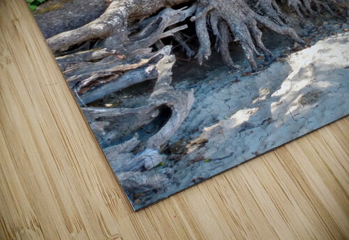 LotsofLimbs Kae s Photos puzzle