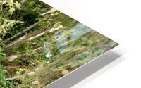 LotsofLimbs HD Metal print