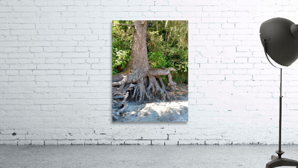 LotsofLimbs Wall Preview