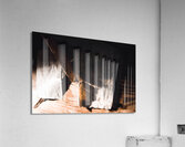 EOS 9541 copy Acrylic Print