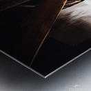 EOS 9541 copy Metal print