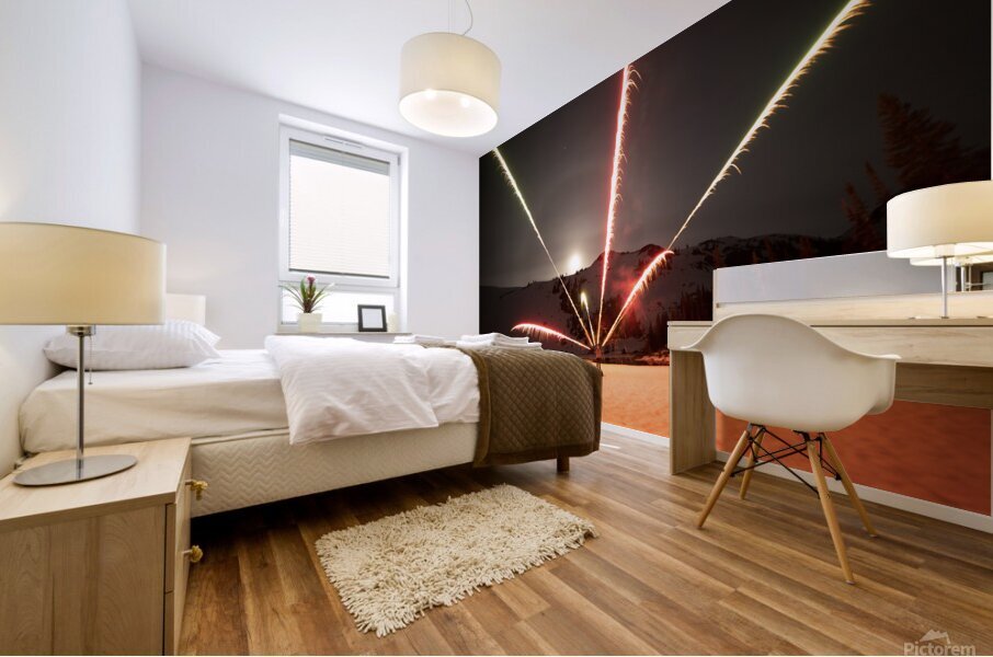 IMG 6930 copy Mural print