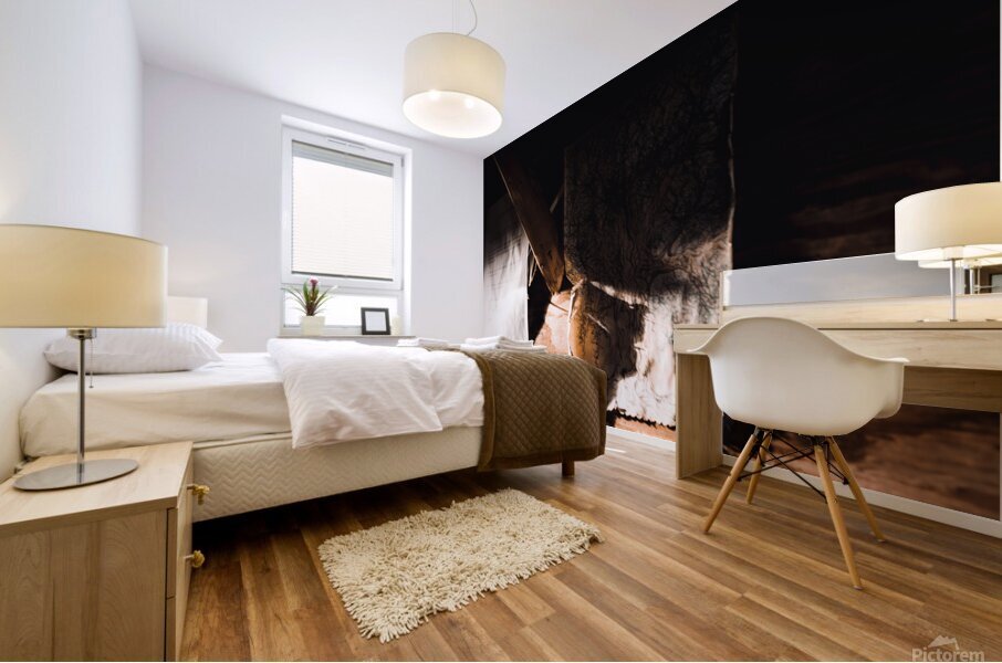 EOS 9541 copy Mural print