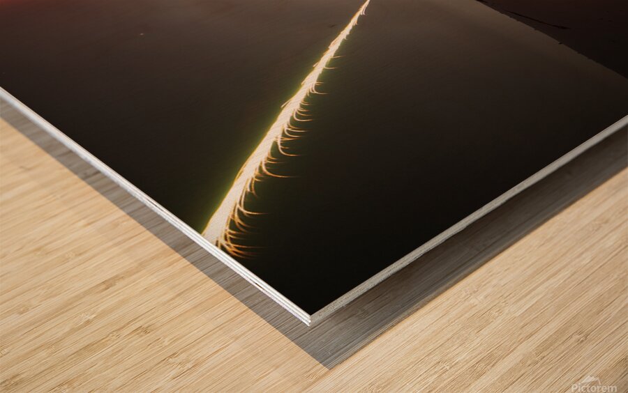 IMG 6930 copy Wood print