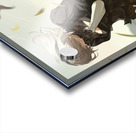 NieR Automata Acrylic print