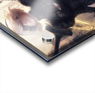 NieR Automata Acrylic print