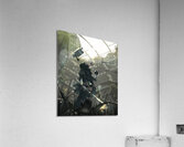 NieR Automata Acrylic Print