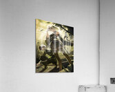 NieR Automata Acrylic Print