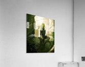 NieR Automata Acrylic Print
