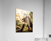 NieR Automata Acrylic Print