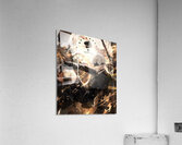 NieR Automata Acrylic Print