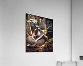 NieR Automata Acrylic Print