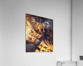 NieR Automata Acrylic Print