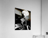 NieR Automata Acrylic Print