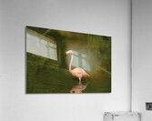 Vibrant Contrast Acrylic Print