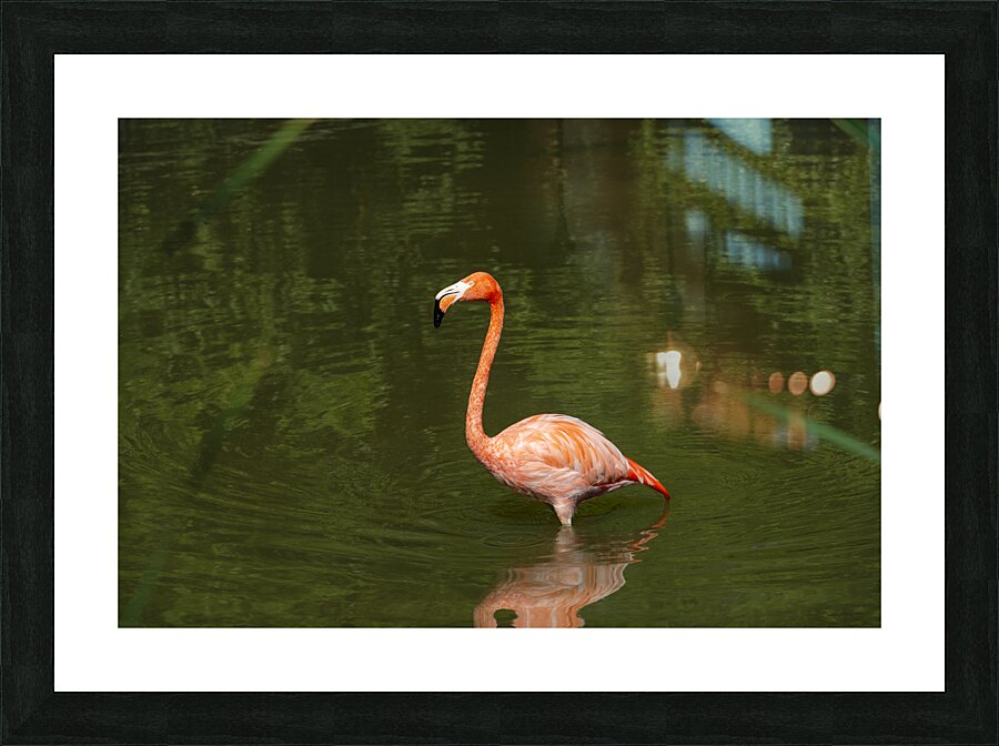 Vibrant Contrast Picture Frame print