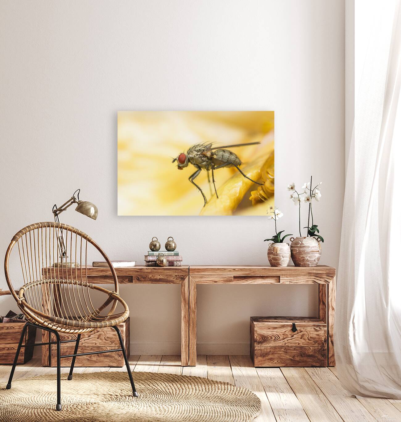The Fly Reproduction