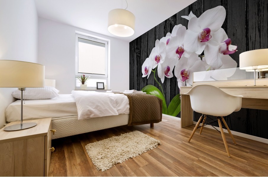 Orchid Love Mural print