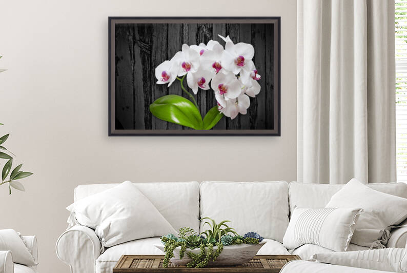Orchid Love by CozyIcon