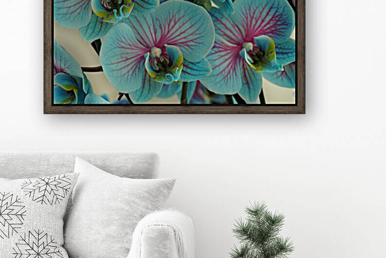 Orchid vibrant by CozyIcon