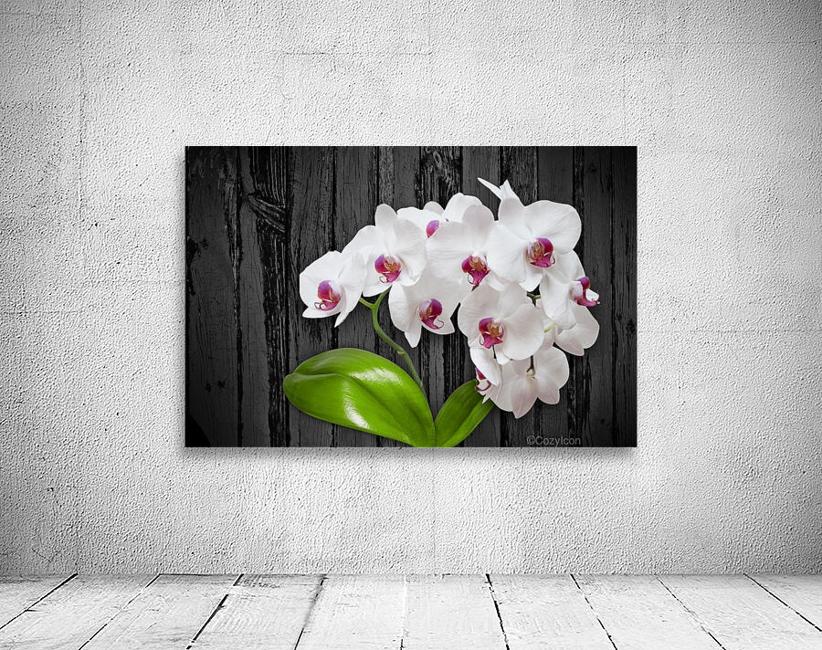 Orchid Love Wall Preview