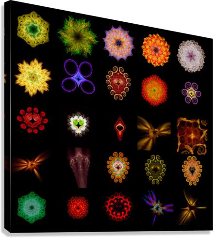 compwidget