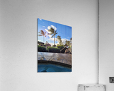 Ghost Cloud Palm Tree Acrylic Print