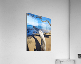 Beach longing  Acrylic Print