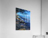 Rock This Acrylic Print
