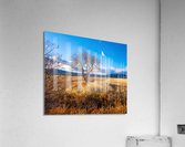 DJH1 Acrylic Print