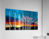 suneset Acrylic Print