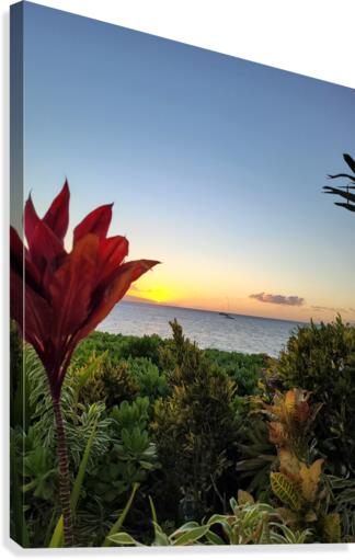 Maui  Flowers Canvas Print