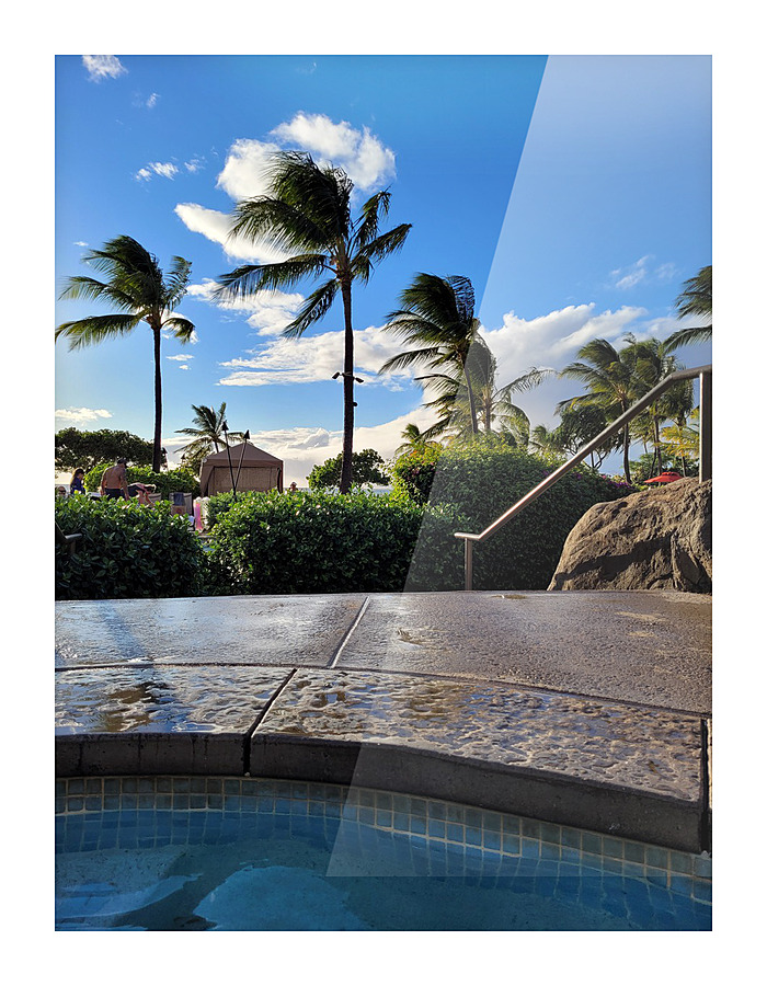 Ghost Cloud Palm Tree Picture Frame print