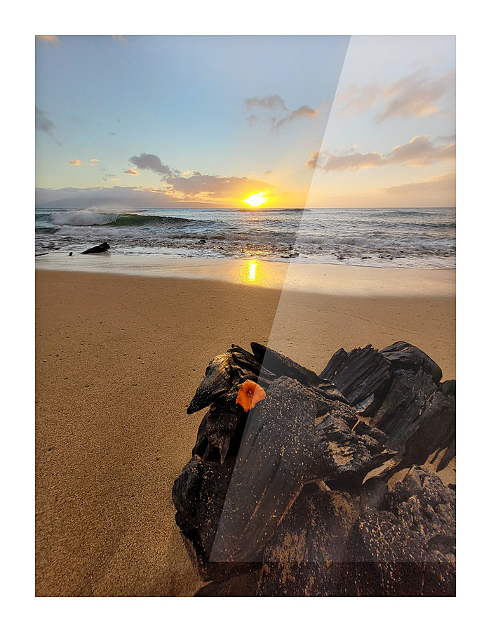 Ocean Flower Sunset  Picture Frame print